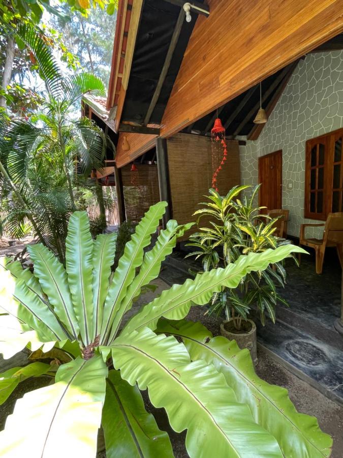 New Roy Guest House 卡尔库达 外观 照片